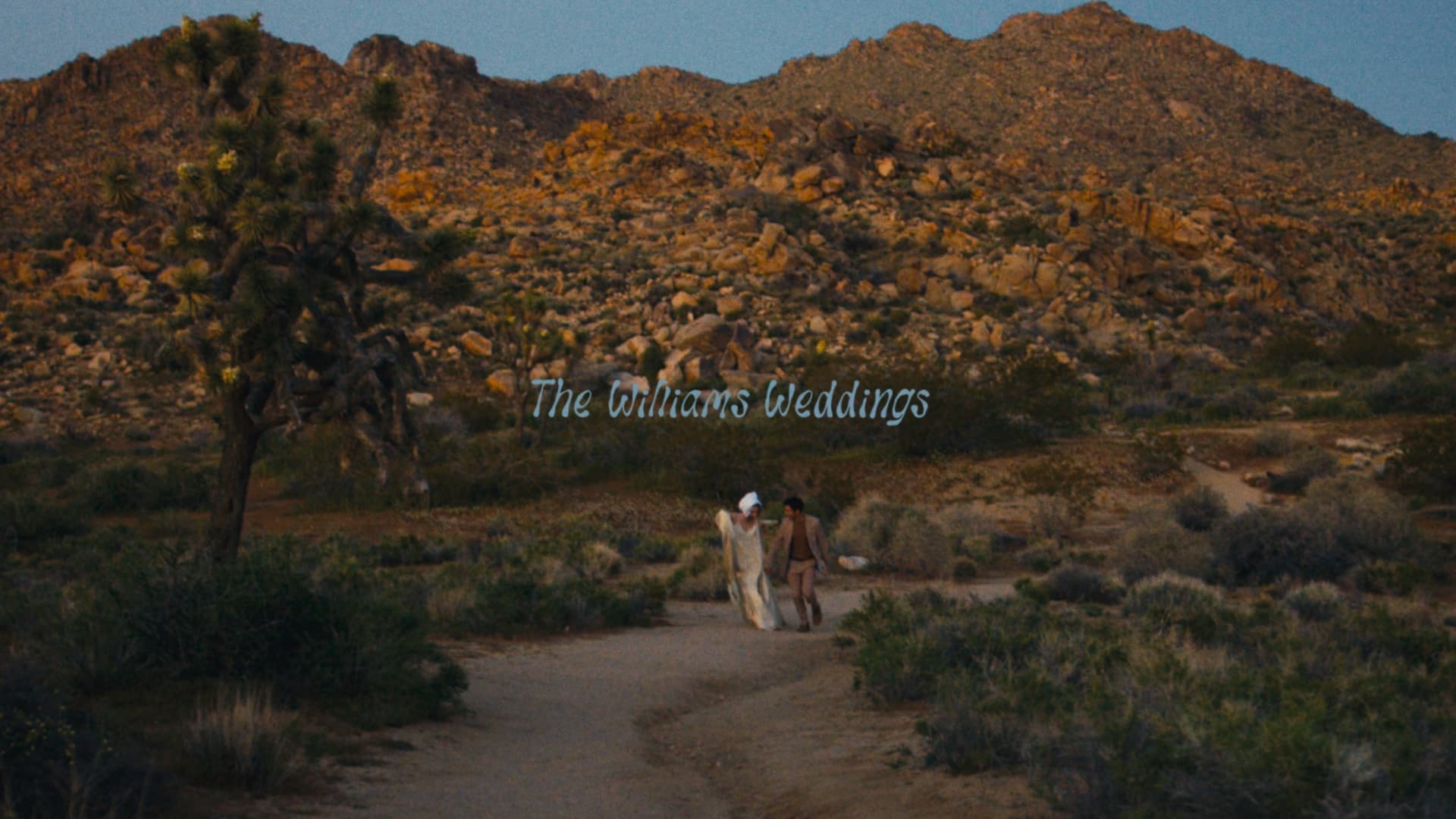 A stunning wedding moment captured cinematically